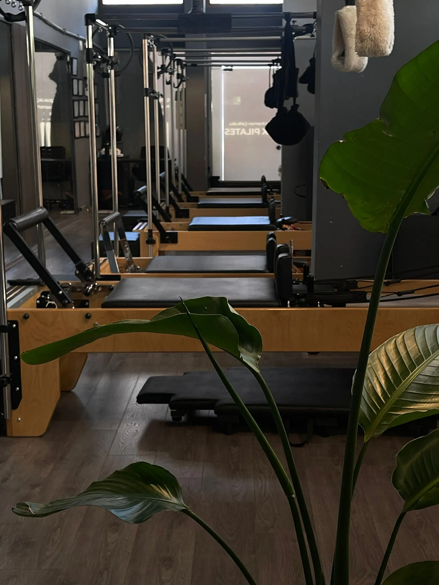 NOXX Pilates stüdyosunda reformer çalışma alanı